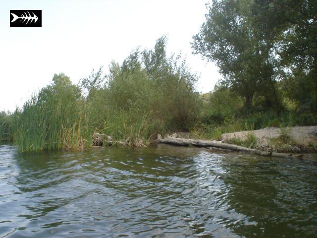 fayon 2007.jpg